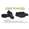 TCM-222 Shoes
