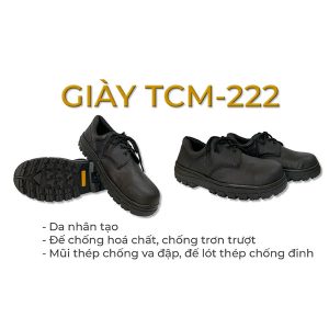 TCM-222 Shoes
