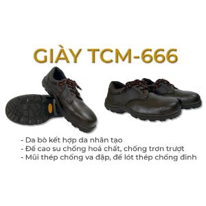 TCM-666 Shoes